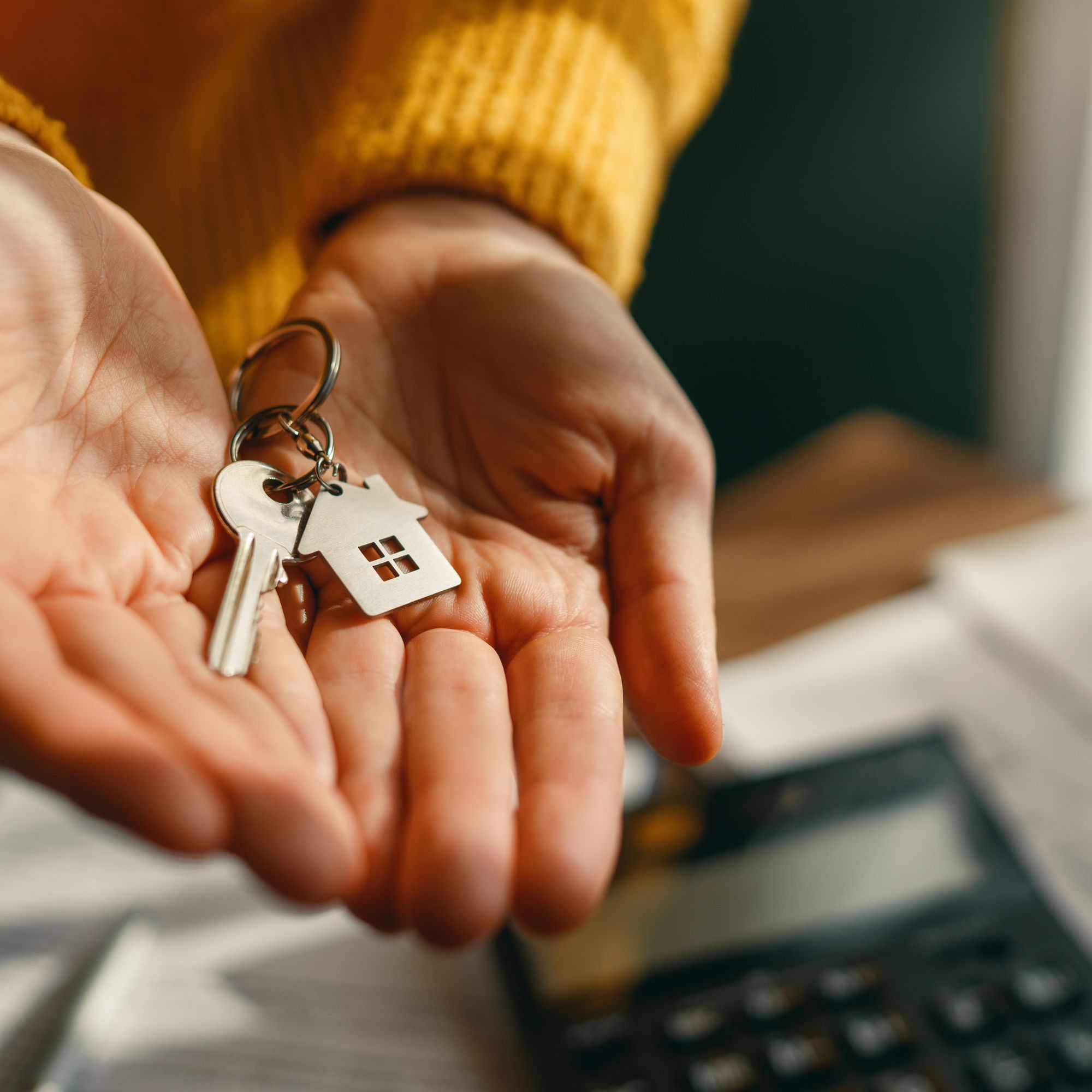 Nancy Manely Main Page (2)